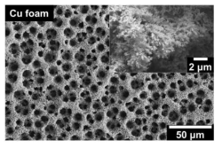 Cu 폼의 SEM 사진