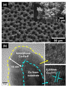 다공성 CoFeP 촉매의 (a) SEM 사진과 (b) TEM 사진