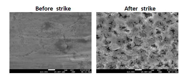 Strike 공정 전/후 표면 SEM 사진