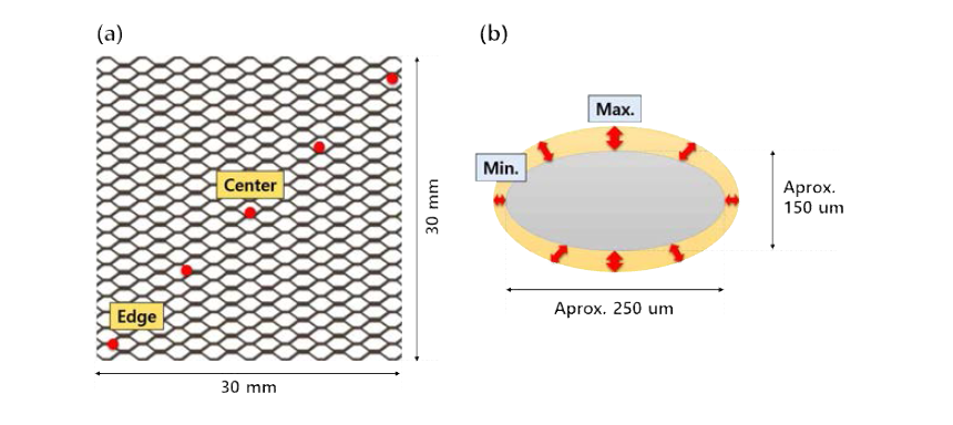 (a) 시편 내 측정 위치 (b) 도금막 두께 측정 위치