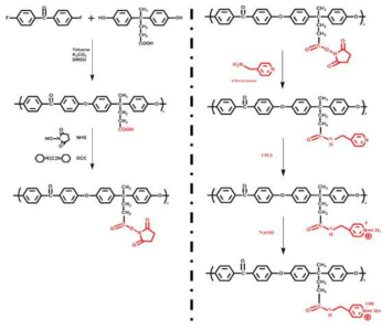 Pyridinium 관능기를 도입한 PAEK 합성 단계