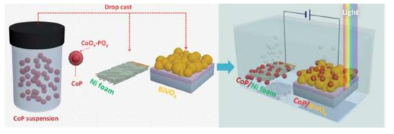 cathode 로 이용된 CoP/Ni Foam 과 anode 로 이용된 CoP/BiVO4를 이용한 PEC/PV tandem cell 모식도