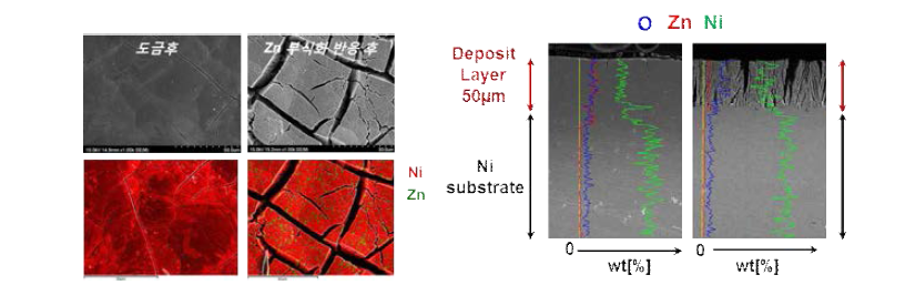 도금 후와 Zn 용출반응 후 Ni-Zn 전극 표면(좌) 및 단면(우) 형상변화와 성분분석