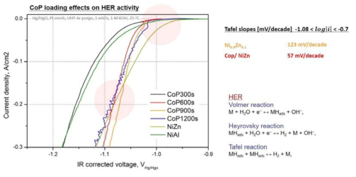 CoP/Ni-Zn ex-situ HER half cell 평가