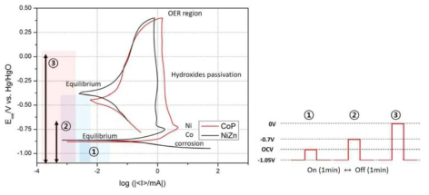 CoP/Ni-Zn potentiodynamic cyclic polarization curves