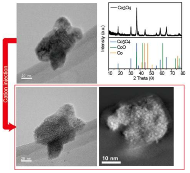 Co3O4 모상과 양이온 주입 후 PXRD 분석(위, 오른쪽). 양이온 주입 전 Co3O4 나노입자(위, 왼쪽)와 양이온 주입 후 Co3O4 초미립자(아래) TEM 및 STEM 사진