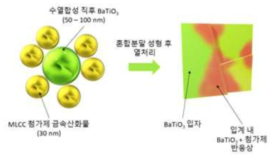 50nm BaTiO3 core에 30nm 크기의 MLCC 첨가제 금속산화물이 코팅된 혼합분말의 모식도(좌) 및 이 혼합분말을 성형 및 열처리한 후의 BaTiO3 (core)/첨가제-doped BaTiO3 (shell)의 모식도(우)