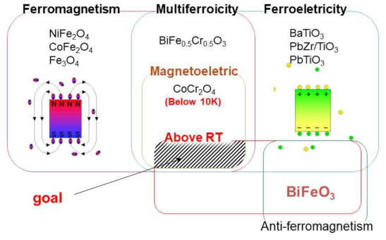 강자성/강유전/다강성을 가진 대표적 논문 발표 물질