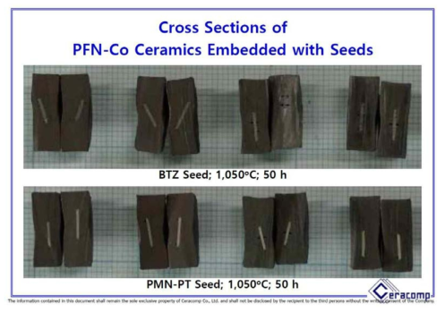 Seed Embedding Process를 이용한 Co-doped PFN 단결정 성장 실험: (a) BTZ 종자 단결정와 (b) PMN-PT 종자 단결정