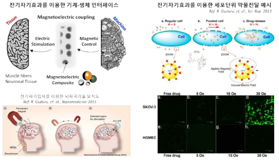 자기전기 효과를 이용한 세포 자극 기술 예시