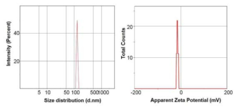 Characterization of p66shc siRNA-encapsulated PLGA nanoparticles