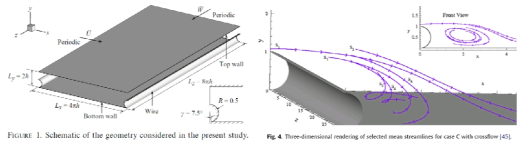 Wire 근처 Wake 유동에 대한 수치해석적 선행 연구 [Ranjan et al, 2010]