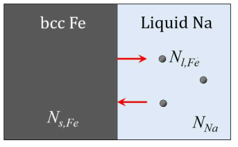 An arbitrary large system consisting of bcc Fe and liquid Na. Ns,Fe, Nl,Fe, and NNa indicate the number of bcc Fe, the number of Fe atoms dissolved in liquid Na, and the number of liquid Na, respectively