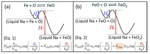 Schematic illustration of the rate theory explanation for FeO and FeO2 solubility evaluation in liquid Na