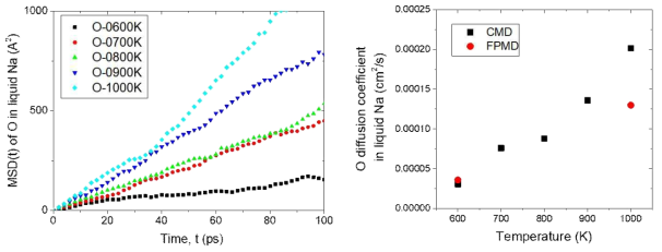 (left) MSD-time graph and (right) diffusion coefficients for O impurity diffusion in liquid Na in 600-1000 K. In the right figure, for comparison, FPMD calculation results obtained in this project are also shown