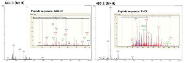 De novo peptide sequencing by LC-MS/MS