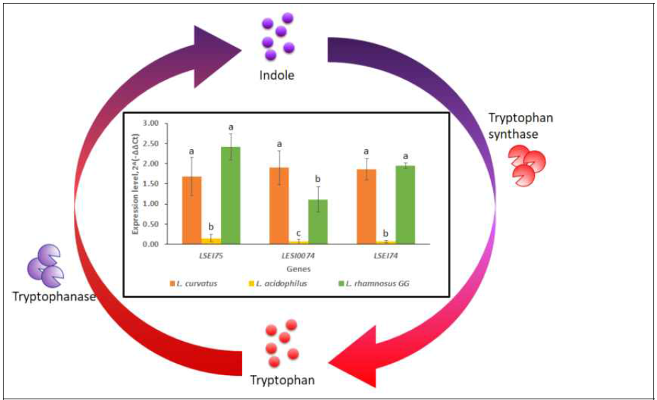 Gene expression of LSEI75, LSEI0074, and LSEI74 from probiotic candidates