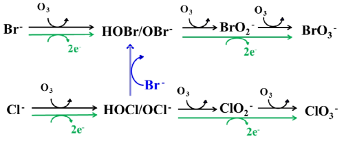 해수 오존 및 전기분해 공정에서 무기부산물 생성 메커니즘 (Formation mechanism of BrO3 - and ClO3- during ozonation and electrolysis of seawater)