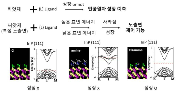 DFT 계산 기반 InP 인공원자 성장 가능성 예측