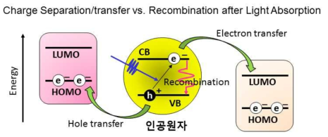 인공원자로 이루어진 응집소재의 광학적/전기적 특성 평가를 위해서는 전극물질과의 접합 환경하에서 전자구조와 빠른 동력학 측정이 필요함. 광/전기에 의해 여기된 전자와 정공은 각각 conduction band (CB)와 valence band (VB)에서 LUMO (lowest unoccupied molecular orbital)과 HOMO (highest occupied molecular orbital)을 거쳐 이동하며 전하분리가 일어남. 이러한 전하분리는 전하재결합 (recombination)과 경쟁하는데, 목적하는 소자의 성능을 향상시키기 위해서는 이 고속전하이동 과정의 측정과 조절이 이루어져야 함