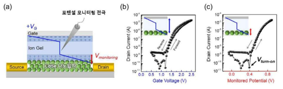 (a) 이온결합성 CdSe 인공원자 응집소재를 이용한 전기화학적 게이팅 박막트랜지스터 구조. 파란색의 선은 게이트 전압 인가에 따른 전해질 층 내 포텐셜 프로파일을 나타낸 것임. 포텐셜 모니터링 프로브를 통해 실제 반도체 나노입자 층에서 소모되는 포텐셜의 측정이 가능해지며, 이를 기반으로 하여 반도체 층의 전자적 특성 분석이 가능함. (b) 게이트 전압에 의해 발생하는 소자의 전하 전달 특성 (transfer characteristics)을 나타낸 그래프. (c) 게이트 전압 인가 동안 포텐셜 모니터링 프로브를 통해 실시간으로 측정된 포텐셜과 전류의 상관관계