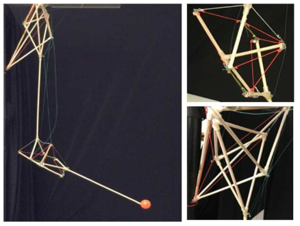 Steven’s human arm biotensegrity robot