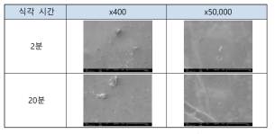 Ar plasma 선택적 건식 식각 후 나노 소재 PDMS 복합소재 마이크로 구조 표면 사진