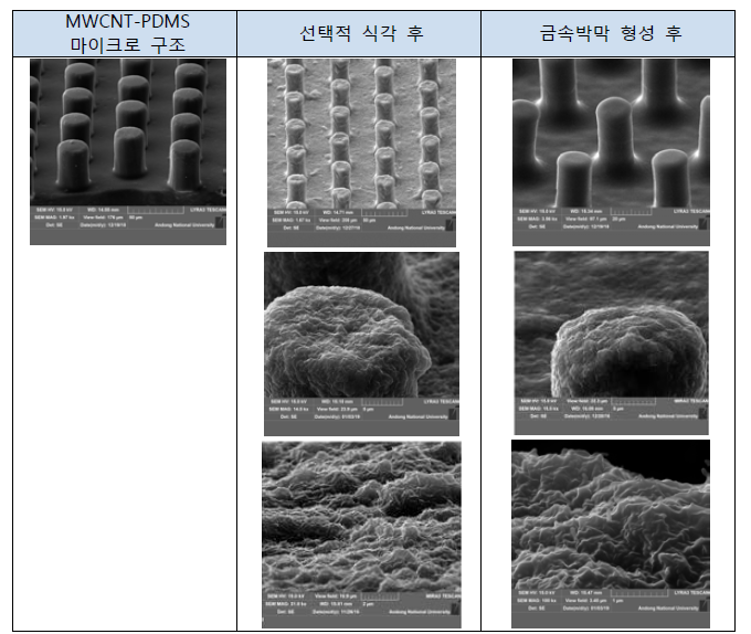 나노 소재 (MWCNT) PDMS 복합소재 마이크로 나노 계층 구조 비교