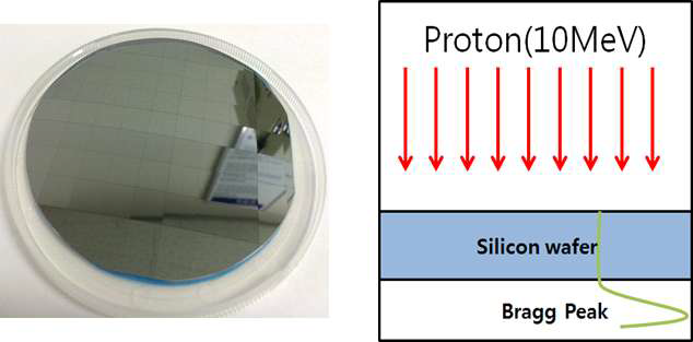 실리콘 웨이퍼 및 양성자 조사 모식도