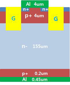 NPT-IGBT 모식도