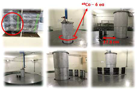 60CO 선원을 이용한 감마선 조사