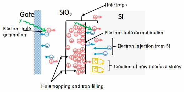 감마선 조사에 의한 SiO2에서의 trapping 효과