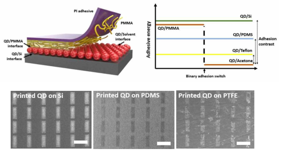 열역학 기반 iTP 원리를 설명하는 모식도와 낮은 표면에너지를 갖는 기판상 구조체 전사(기존에는 프린팅이 불가능하다고 여겨졌던 Teflon(PTFE) 기판상에도 양자구조체의 인쇄 성공)