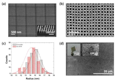 금속 나노구조 이식 전사기법을 사용한 Au NHA 구조 제작 (본 연구팀 ACS Applied Materials & Interfaces (2018) 게재 논문)