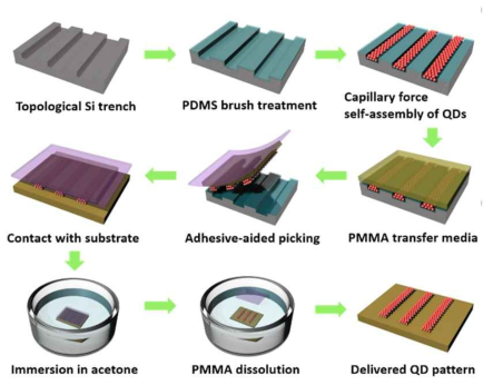 기존 PDMS 몰드 기반의 Contact Printing과 달리 기계적 강성을 가진 Si 물리적 템플릿을 이용하여 QD입자의 자기조립을 유도하며, 용매에 의한 계면접착력 제어 원리를 기반으로하는 본 연구팀 고유의 Immersion Transfer Printing (iTP) 공정의 개요