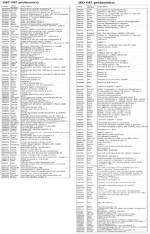 Proteomics data; wt vs. Dhrs1 KO