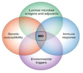 염증성 장질환의 병태 생리