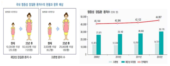 국내 염증성 장질환 환자 유병률