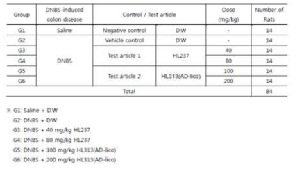 DNBS 유도를 통한 시험군 및 투여용량 설정
