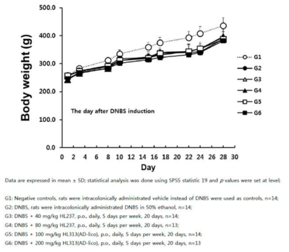 DNBS 유발 랫드 모델을 이용한 유효물질 처리 후 체중변화 확인