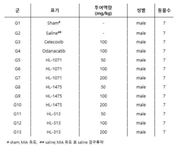 MIA 유도 마우스 모델 군 설정 및 투여용량