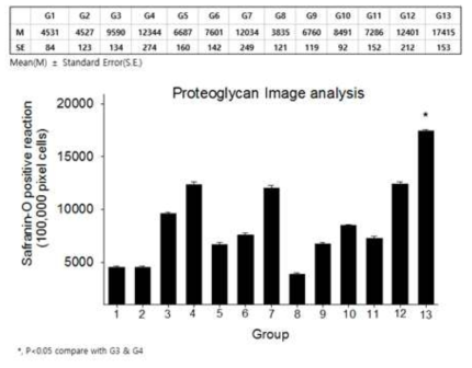 Safranin-O 염색을 통한 관절 내 proteoglycan 조직 손상 수치결과