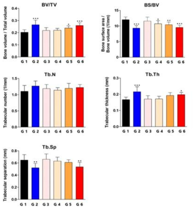 Micro CT를 이용한 대퇴골의 구조적 요소 항목별 측정 분석 G1: Vehicle control, G2: Celecoxib 100 mg/kg/day, G3: HL313 25mg/kg/day, G4: HL313 50mg/kg/day, G5: HL313 100 mg/kg/day, G6: HL313 200 mg/kg/day (G1대비 p-value score, *: p > 0.05, **: p > 0.01, ***: p > 0.001)