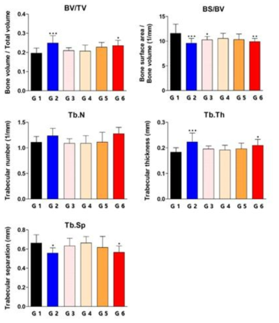 Micro CT를 이용한 경골부의 구조적 요소 항목별 측정 분석 G1: Vehicle control, G2: Celecoxib 100 mg/kg/day, G3: HL313 25mg/kg/day, G4: HL313 50mg/kg/day, G5: HL313 100 mg/kg/day, G6: HL313 200 mg/kg/day (G1대비 p-value score, *: p > 0.05, **: p > 0.01, ***: p > 0.001)