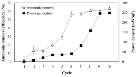 암모니아 제거율과 전력 밀도