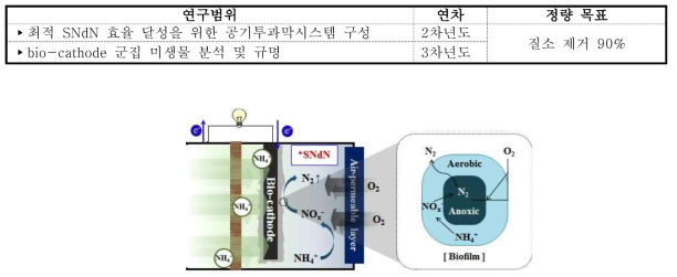 공기투과막 MFC에서의 동시 질산화/탈질화(SNdN)