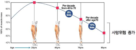 연령증가에 따른 골격 및 골격근의 감소