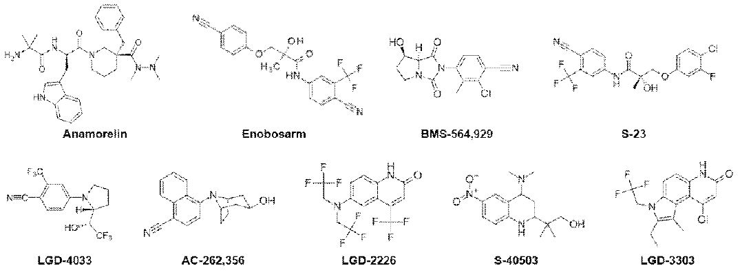 selective androgen receptor modulator의 구조