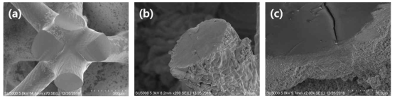3D 프린팅 3차원 구조체의 벌크 압축 시험 후 절단면의 SEM 사진 (a) PLA 3D 프린팅 구조체의 node 부분 (b-c) Cu/PLA 3D 프린팅 구조체의 strut 부분