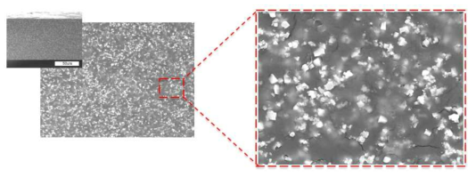 MAPbBr3/SEBS 복합체 박막 제작 공정의 제어를 통해 기공의 발생이 억제되었음을 보여주는 cross-sectional scanning electron microscope 이미지